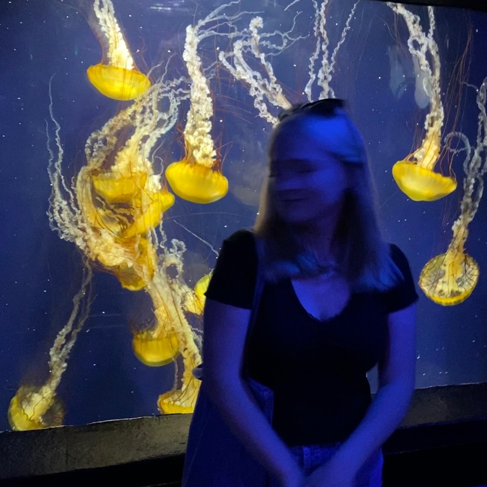 Meet your Posher, Bailey